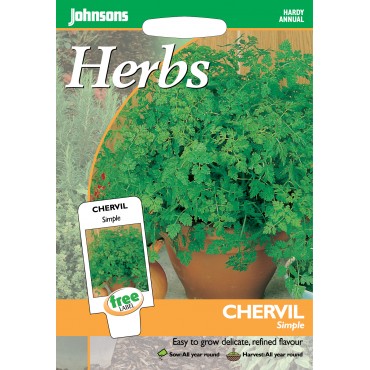 chervil